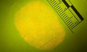 Image result for Forensic Fingerprint Wallpaper