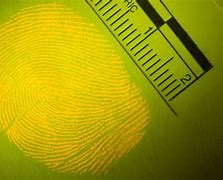Image result for iPhone Fingerprint Recognition