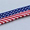 Image result for American Flag Jewelry