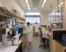 Image result for Biomedical Engineering Work Environment