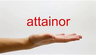 Image result for aotaner�a