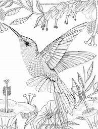 Image result for Anne Lamott Bird by Bird Book