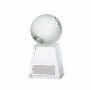 Image result for Cricket Crystal Trophy