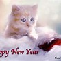Image result for Cat New Year Outfit