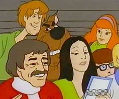 Image result for Scooby Doo Gang Funny