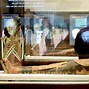 Image result for Roman Mummies