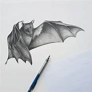 Image result for Bat Sketchbook