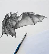Image result for Pencil Art Photos of a Bat