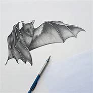 Image result for Real Bat Drawing