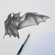 Image result for Visous Pencil Bat