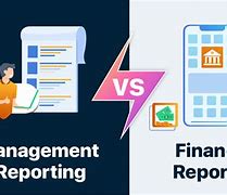 Image result for Management Reporting vs Financial Reporting