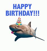 Image result for Happy Birthday Shark Meme