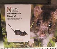 Image result for Remote Control Rat Toy