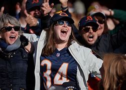 Image result for Chicago Bears Fans