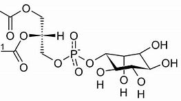 Image result for Inositol Powder