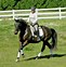 Image result for Bonnie Lucas Horse Trainer
