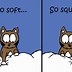 Image result for Animal Humor Cat Funny
