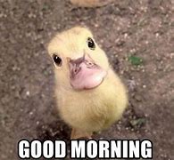Image result for Good Morning Cutie Pie Meme