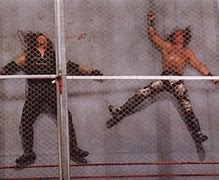 Image result for Undertaker vs Shawn Michaels Hell in a Cell