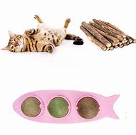 Image result for Catnip Ball Against the Wall
