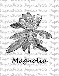 Image result for Flower Iron On Transfers