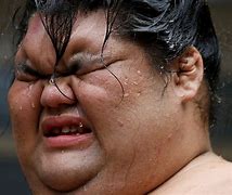 Image result for Hawaii Sumo