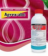 Image result for agrexivo