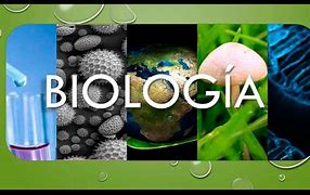 Image result for Biologia