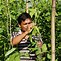 Image result for Nepal Farming