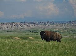 Image result for Great Plains