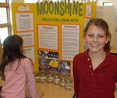 Image result for Funny Science Fair Projects
