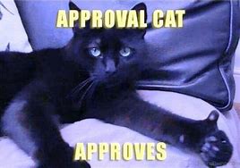 Image result for Cat Approved Meme