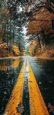 Image result for Wallpaper Phone Photography 4K