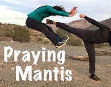 Image result for Mantis Style Kung Fu