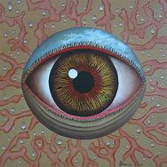 Image result for Weird Eye Art