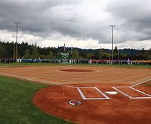 Image result for Little League World Series Field