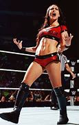 Image result for WWE Brie Bella White Attire