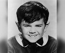 Image result for Disney Young Loner Butch Patrick