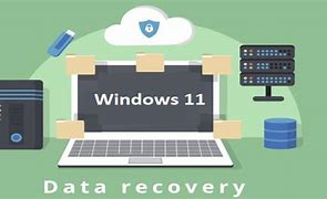 Image result for Recover Deleted Files Windows 11