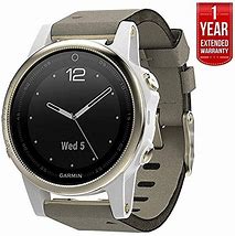 Image result for Garmin 5S Sapphire Champagne