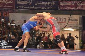 Image result for Iran Wrestling Pin