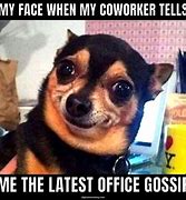Image result for Work Gossip Meme