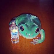 Image result for Cursed Toad Images