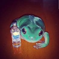 Image result for Toad Frog Surprisememe