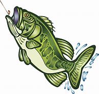 Image result for Largemouth Bass Cartoon