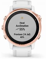 Image result for Garmin Fenix 6s White