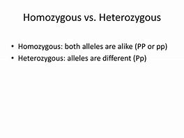 Image result for Homozygous and Heterozygous Alleles