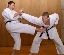 Image result for karate martial art