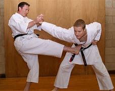 Image result for Best Martial Arts for Tall Skinny People