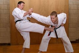 Image result for Martial Arts Conditioning